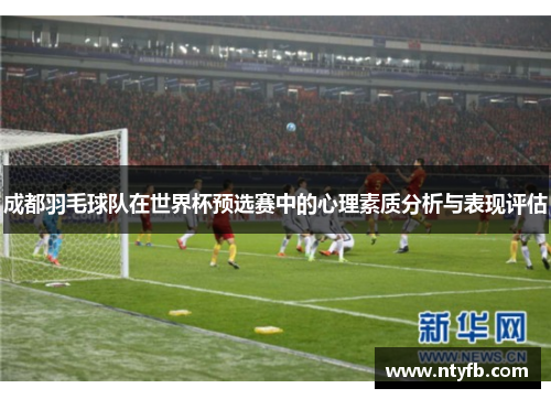 成都羽毛球队在世界杯预选赛中的心理素质分析与表现评估